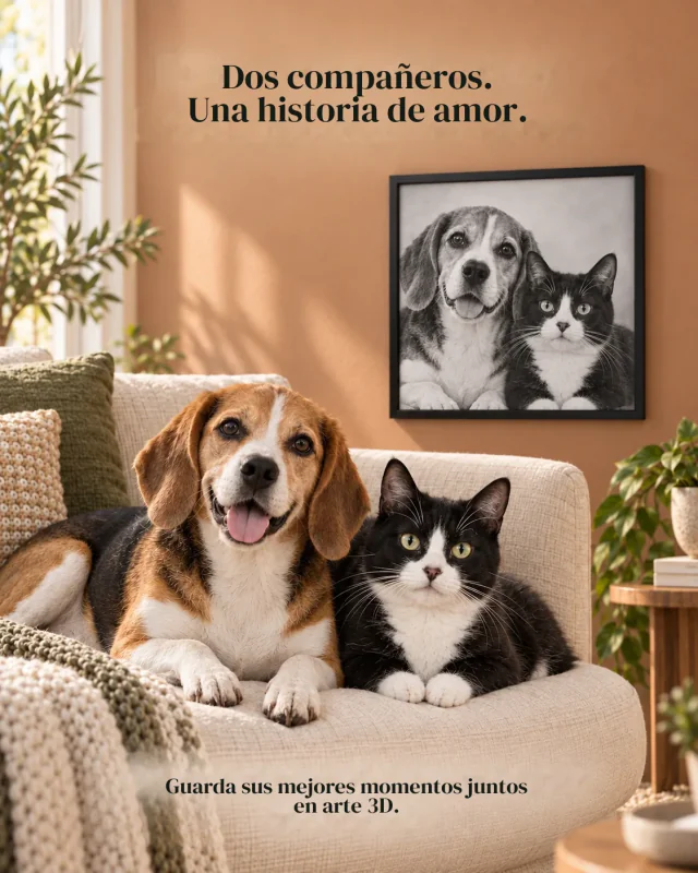 Dos compañeros — Composiciones ilustrativas. El resultado depende de la fotografía elegida.