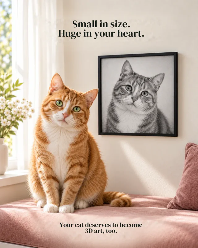 Cats — Illustrative compositions. The result depends on the selected photograph.